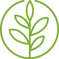 Piktogramm mit einem fünfgliedrigen Blatt in einem grünen Kreis.